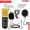 5 CORE XLR Microphone Condenser Mic w/Microphone ARM for Computer Gaming, Podcast, Tripod Stand Kit for Streaming, Recording, Vocals, Voice